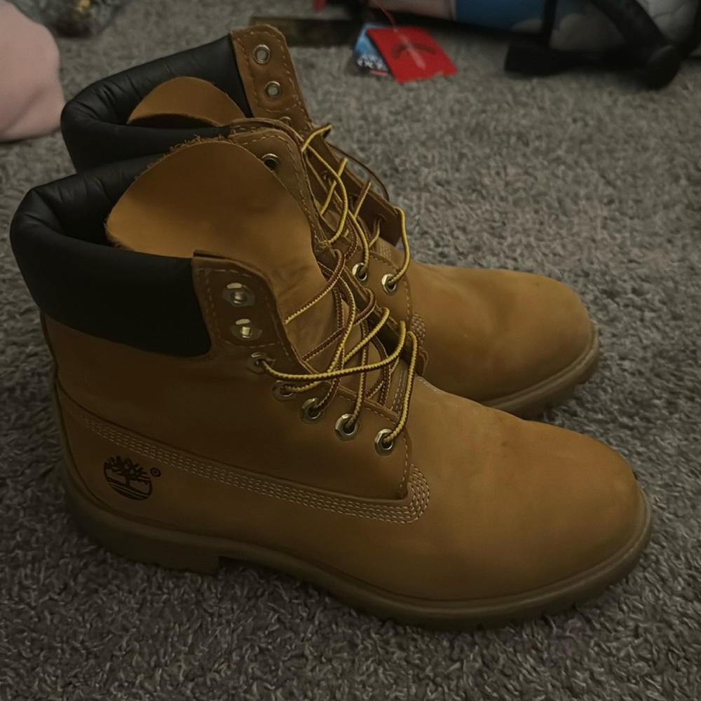 Men's Timberland® Premium 6-Inch Waterproof Boot